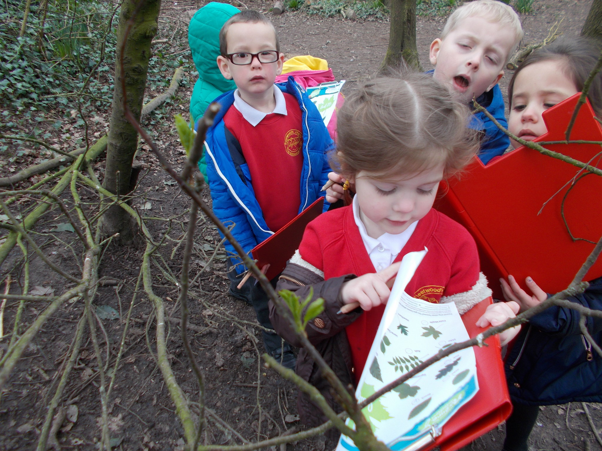 Image of Nature walk